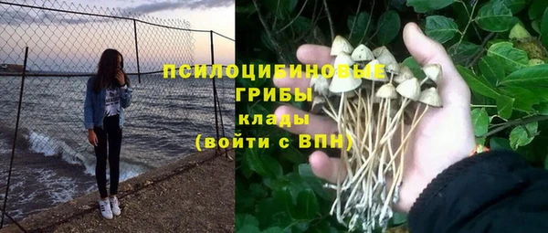 гидропоника Алексин