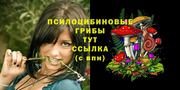 PSILOCYBIN Пролетарск