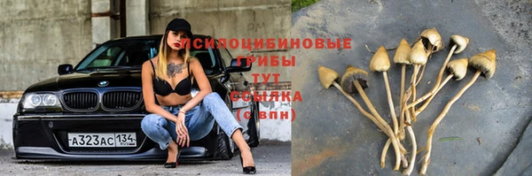 прущая мука Абинск