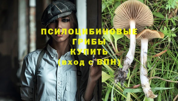 кристаллы Абаза
