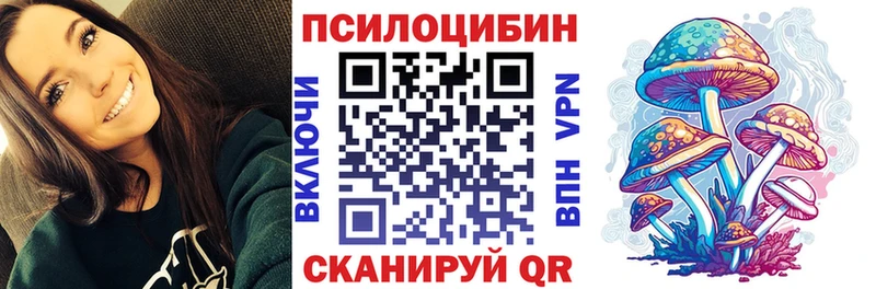 купить наркоту  Циолковский  Псилоцибиновые грибы GOLDEN TEACHER 