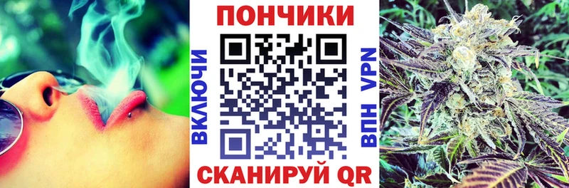 ссылка на мегу ТОР  Циолковский  Канабис Amnesia  даркнет сайт 